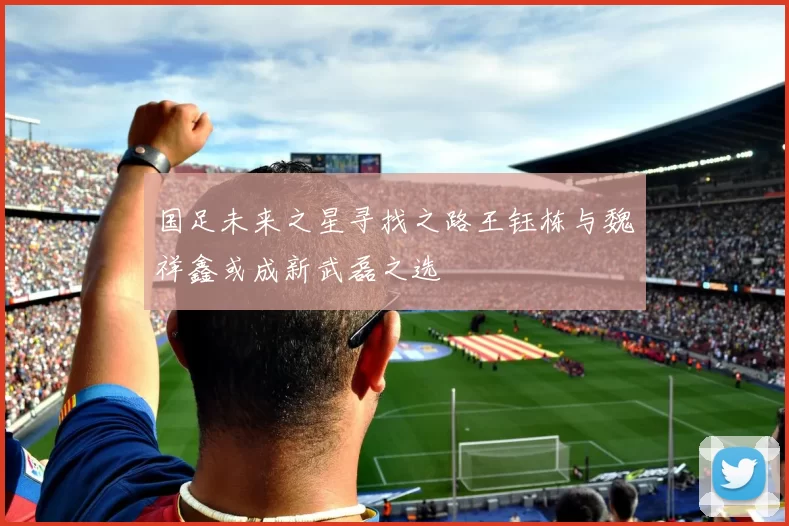 国足未来之星寻找之路王钰栋与魏祥鑫或成新武磊之选