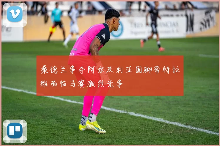 桑德兰争夺阿尔及利亚国脚蒂特拉维面临马赛激烈竞争